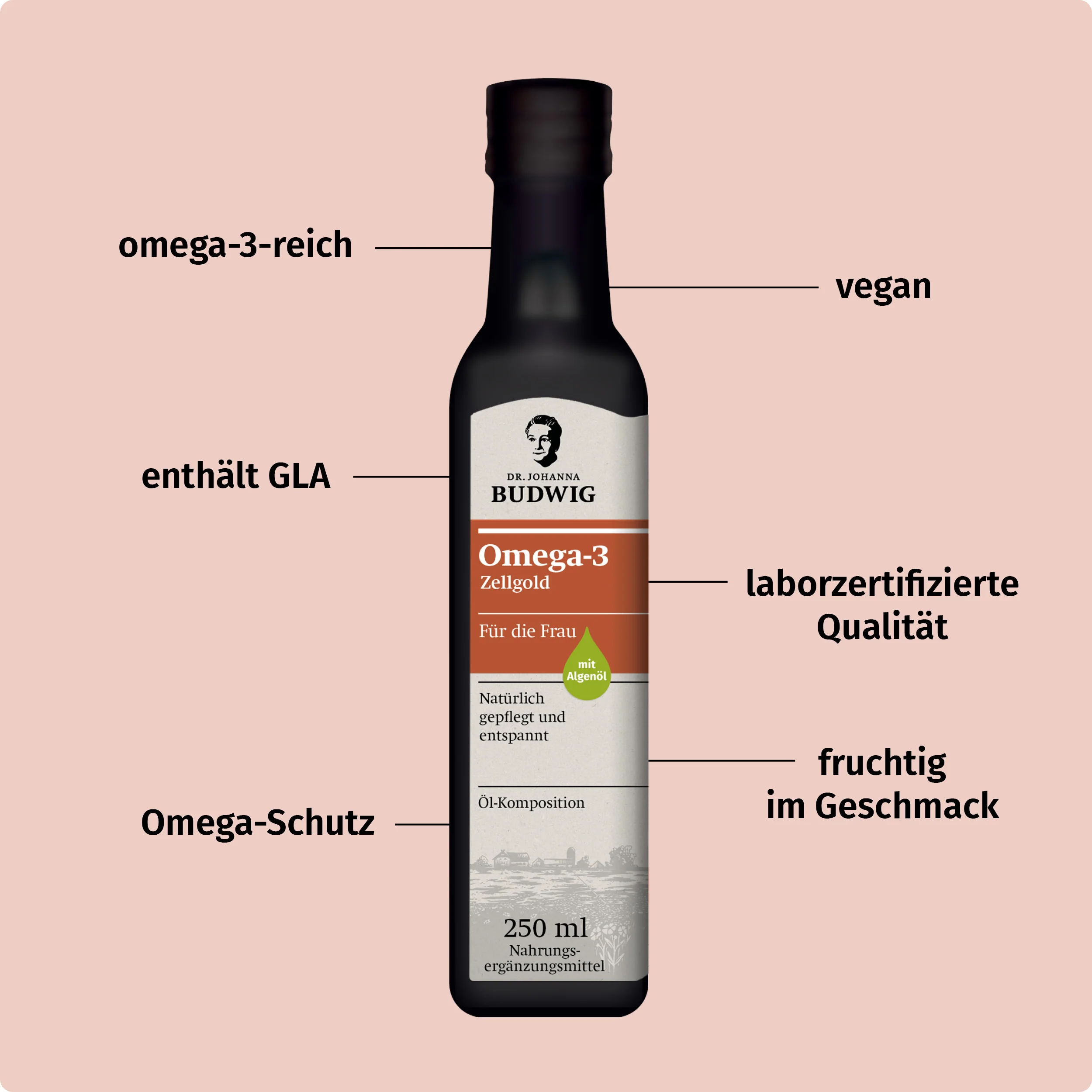 Kennenlern-Paket für die Frau - Image 4