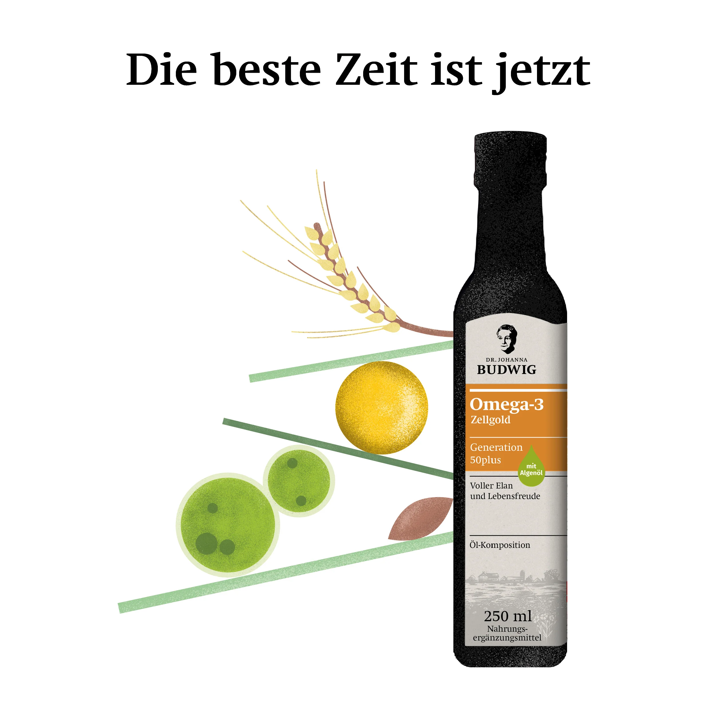 Omega-3 Zellgold für die Generation 50plus - Image 8