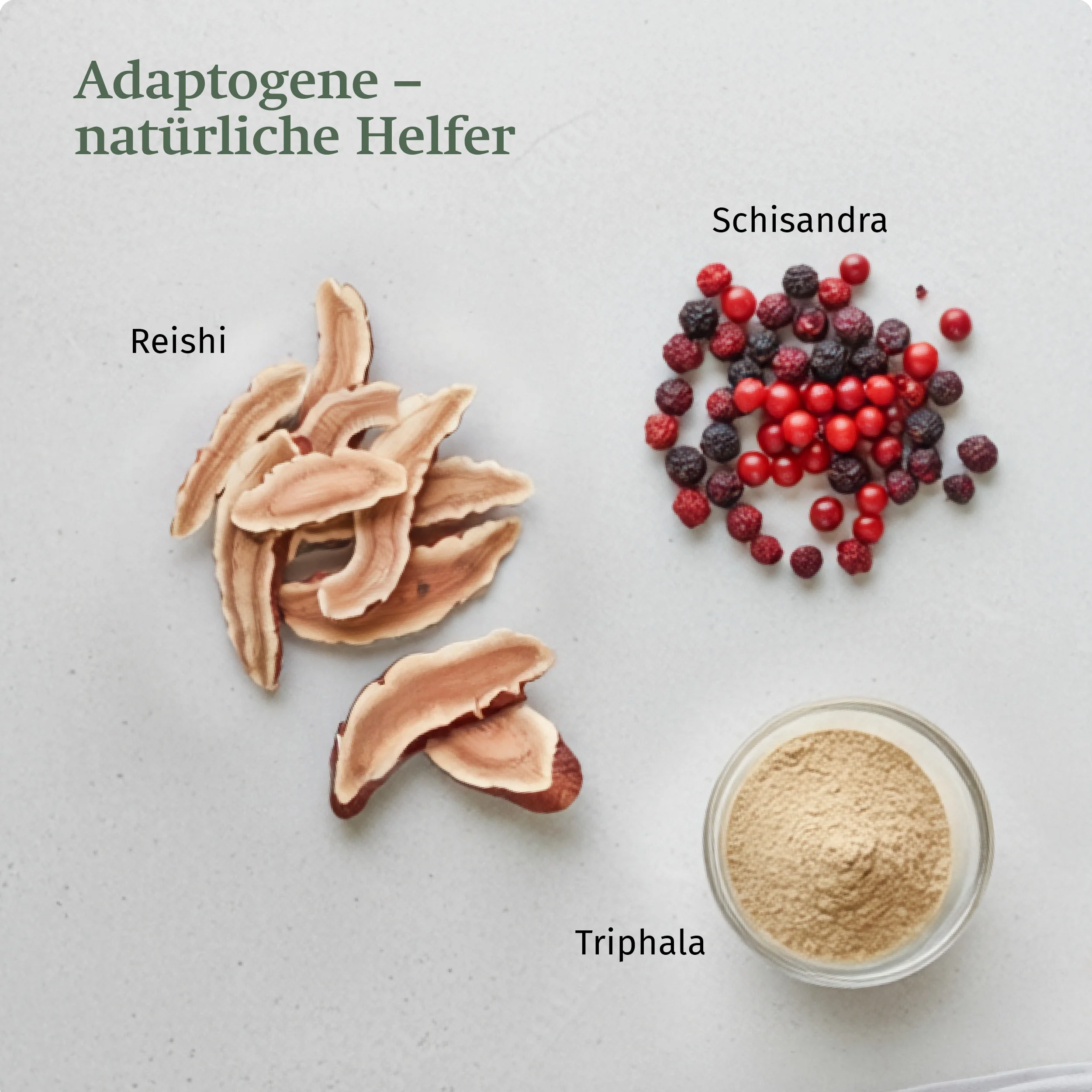 Zellvital® - Image 5